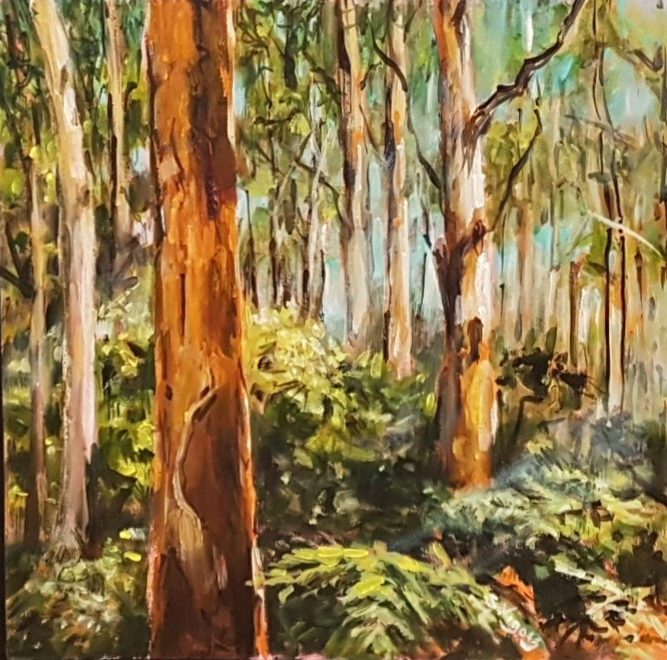 Boranup Karri Forest in Margaret River Region - South West - Western Australia